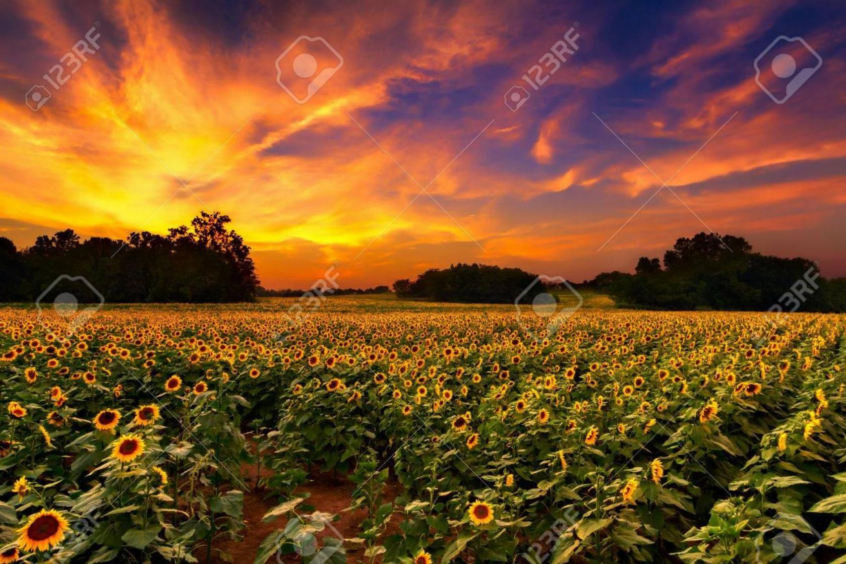 Home The McLeod Group